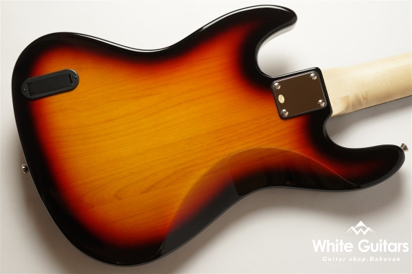 WJB5-580/R-Act - 3TS